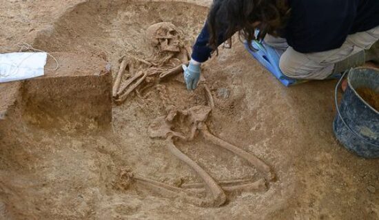 Squelette dans une fouille archéologique